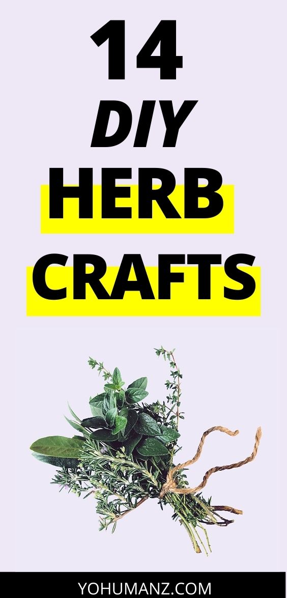 Herb Crafts for Adults